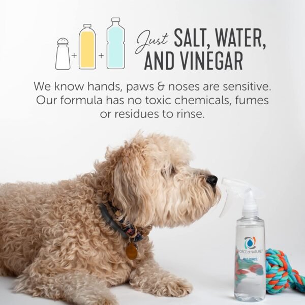 71cGjCdm9HL._AC_SL1500_ In-depth review of Force of Nature multi-purpose cleaner and disinfectant bundle for eco-friendly cleaning