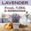 Review of Mrs. Meyer's Lavender Liquid Laundry Detergent Biodegradable Formula for Gentle Cleaning