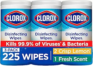 Clorox Disinfecting Wipes Review Are These the Best Household Cleaning Essentials