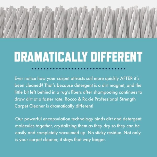 81tPx5a9nxL._AC_SL1500_ Rocco & Roxie Carpet Cleaner Solution Review for Pet Odors and Stain Removal